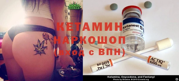 шишки Армянск